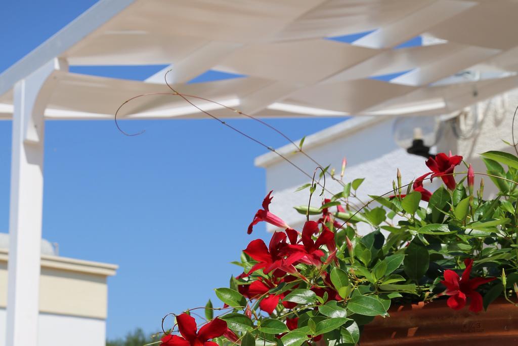 Mare Relax * Lido Marini